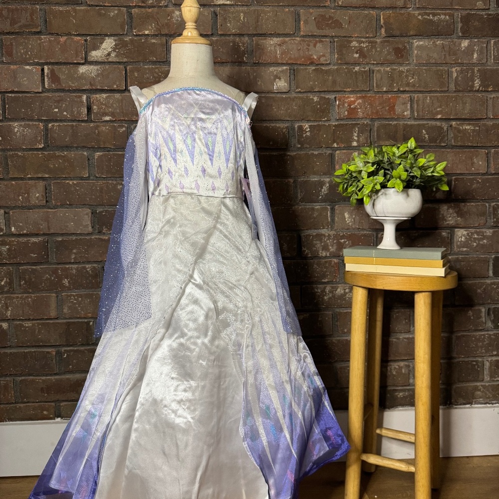 Sam’s club Disney Elsa gown
